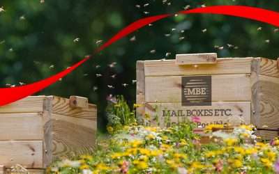 Mail Boxes Etc. sceglie 3Bee per un progetto a tutela dell’ambiente