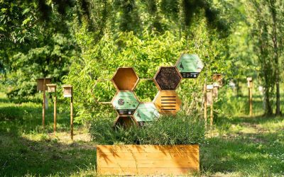 Edison Next e 3Bee insieme per la rigenerazione della biodiversità